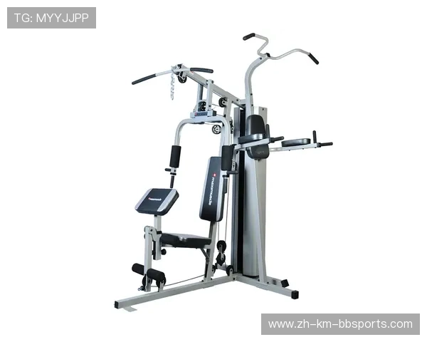 高拉力训练器的多功能性与肌肉增强效果